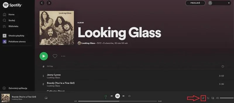 Przewodnik po Spotify
