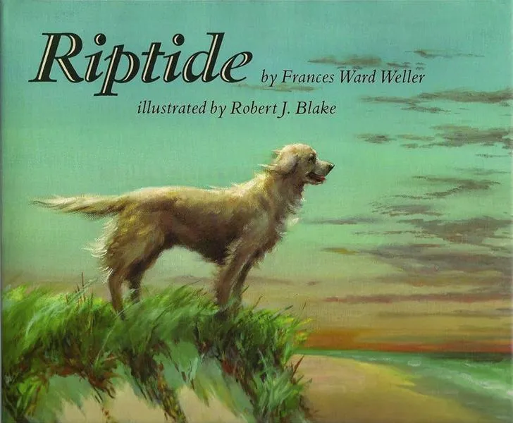 Riptide Vance Joy