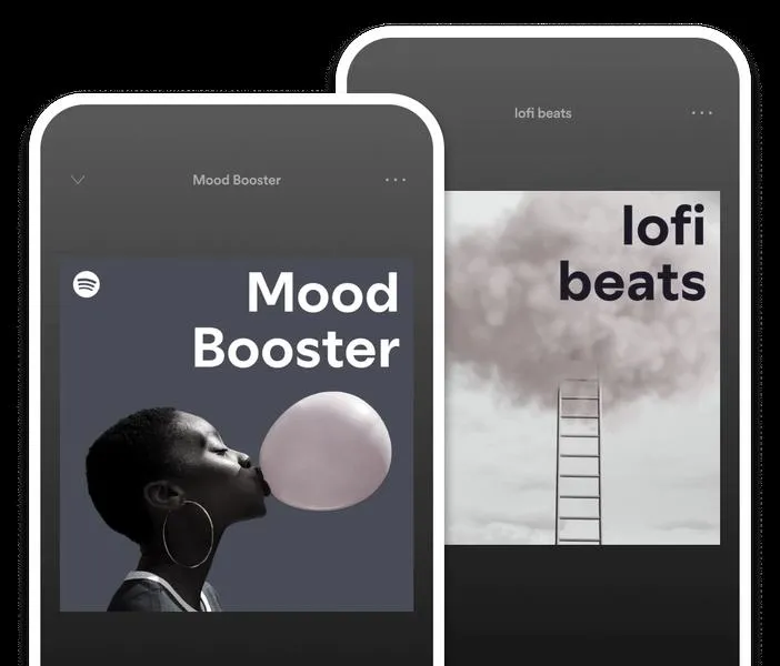 Spotify Duo